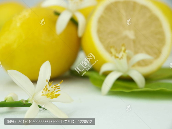 檸檬花和檸檬水果