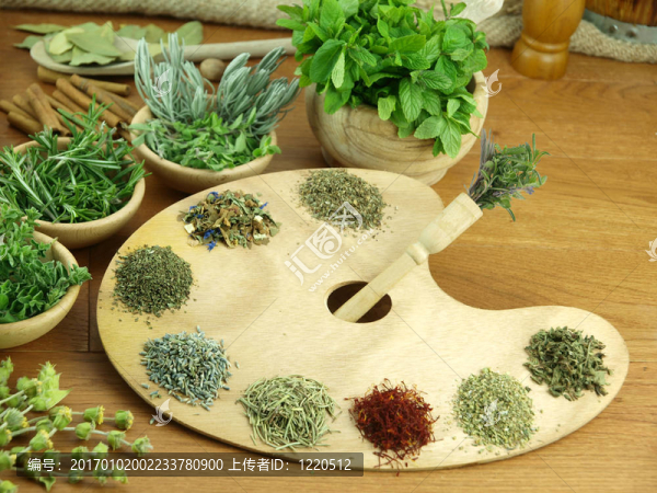 藥草和香料