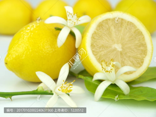 檸檬花和檸檬水果