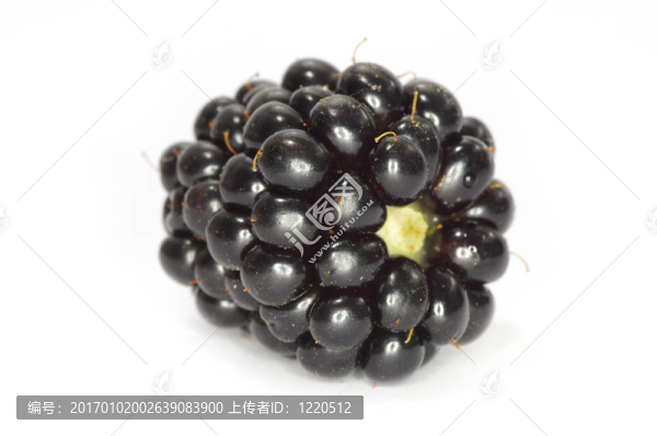 黑莓