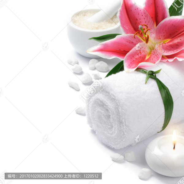 溫泉設(shè)置與lily,flower
