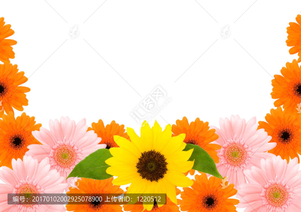 花框