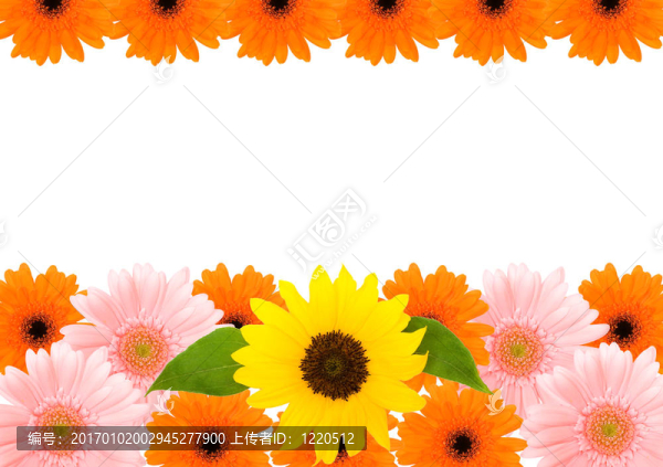 花框