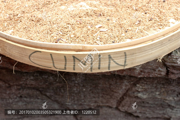 小茴香籽