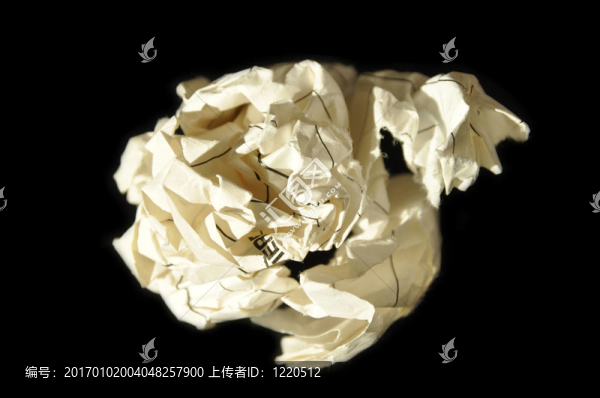 撕紙