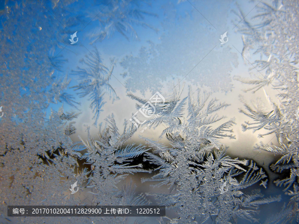 冬窗雪紋