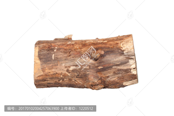 白色背景上的白樺原木。