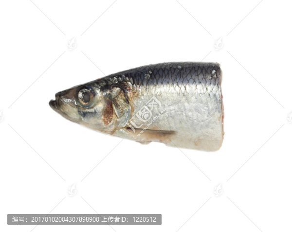白底咸鯡魚