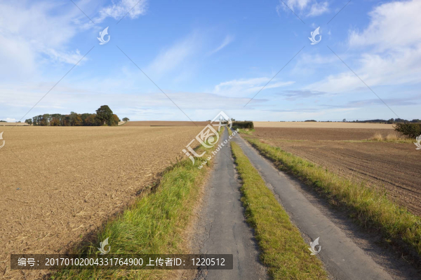 英語國家的道路