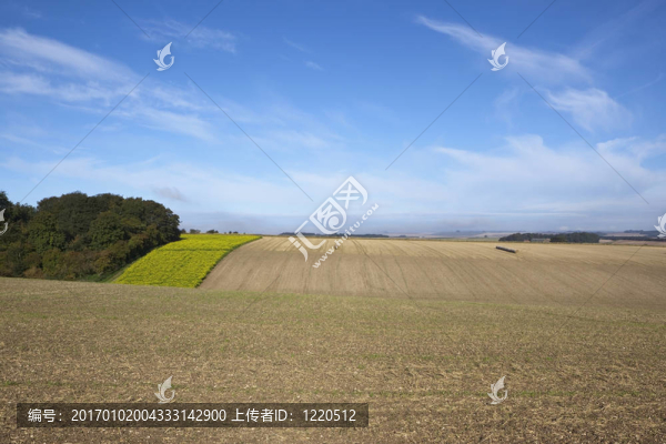 秋天的田野