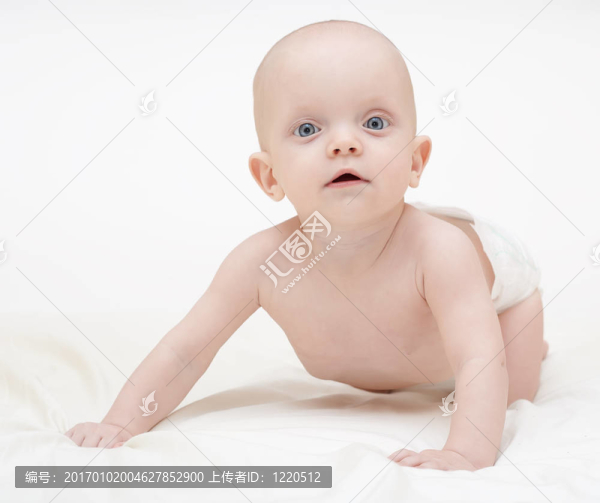 可愛的小寶貝