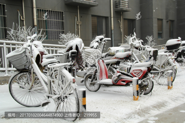 初雪