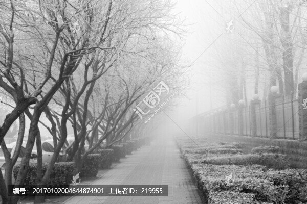 雪景