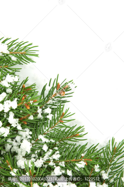 圣誕雪架