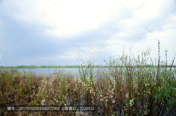 春天的風景