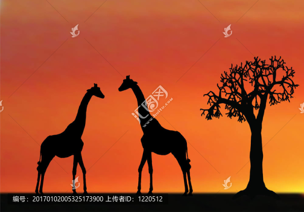 在非洲日落的長頸鹿插畫