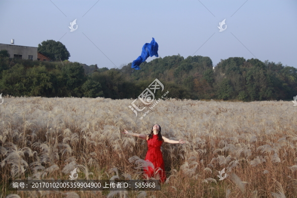 拋絲巾拋頭巾