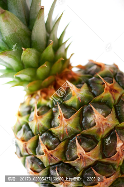 特寫菠蘿