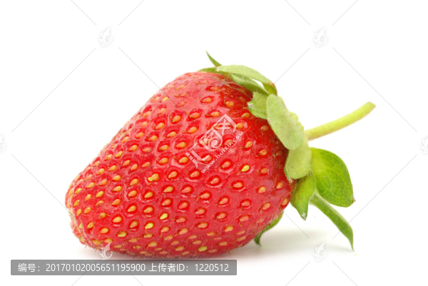 草莓
