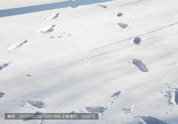 雪