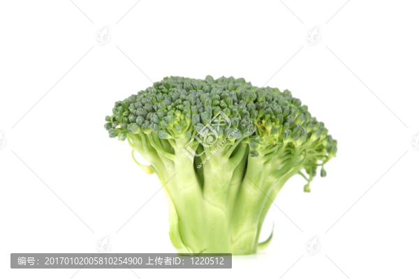 西蘭花白