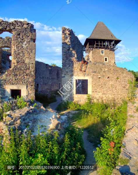 Nevytsky,Castle在Zakarpattya