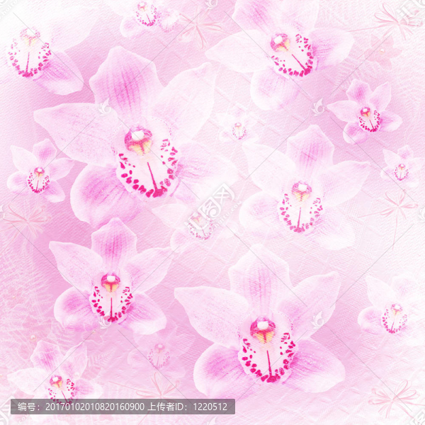 邀請或祝賀的蘭花和蝴蝶卡