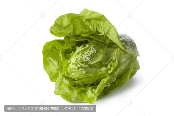 舒格洛夫蔬菜