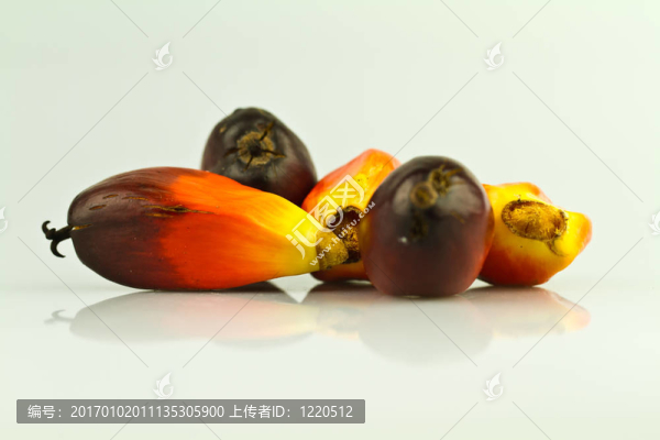 油棕櫚籽藍白