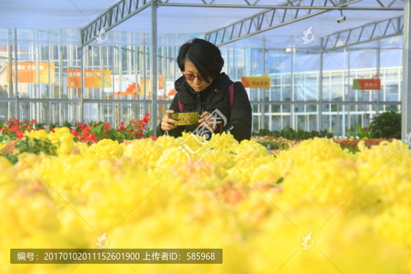 美女拍花賞花