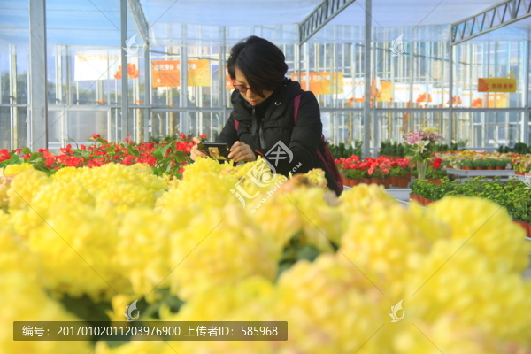 美女拍花賞花