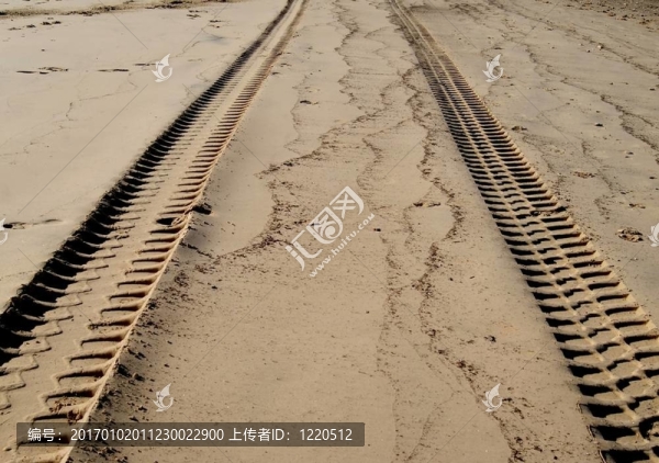 沙地中的輪胎軌跡