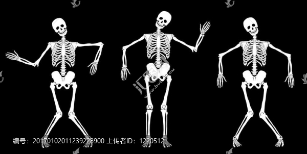 白舞骷髏黑。集。
