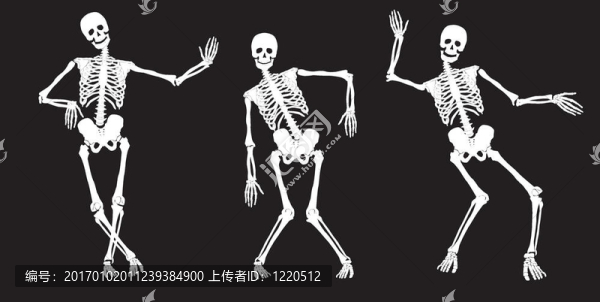 白舞骷髏黑。