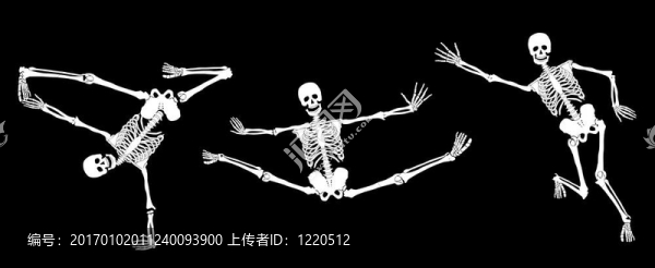 黑色白色骷髏。集。