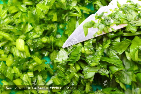 香菜背景枝條