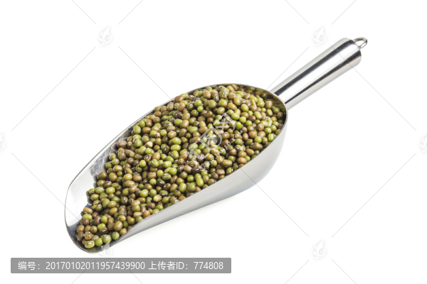 綠豆