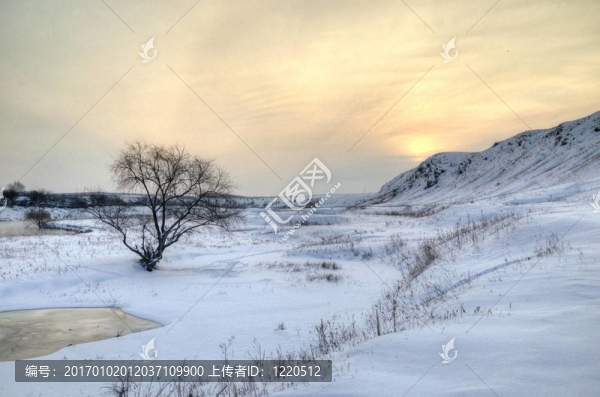 冬季雪景