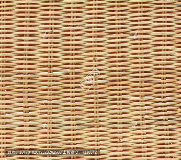 紋理的竹子