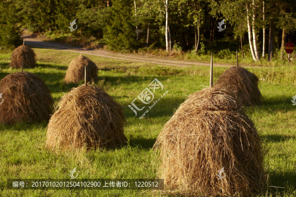 芬蘭農(nóng)業(yè)