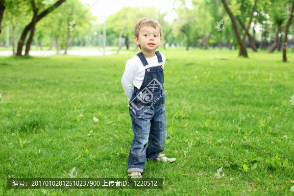 一個男孩在公園里的畫像
