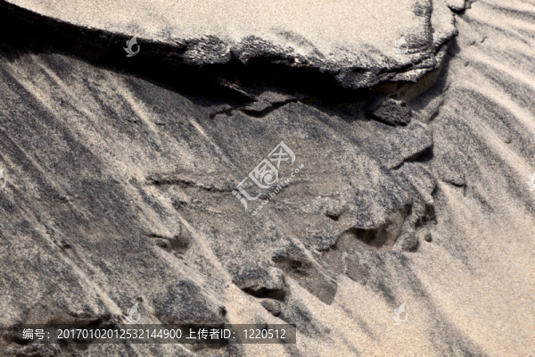 海灘沙丘中的風(fēng)形成結(jié)構(gòu)