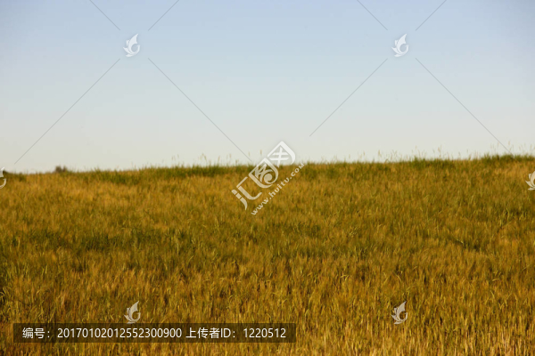 芬蘭農(nóng)業(yè)