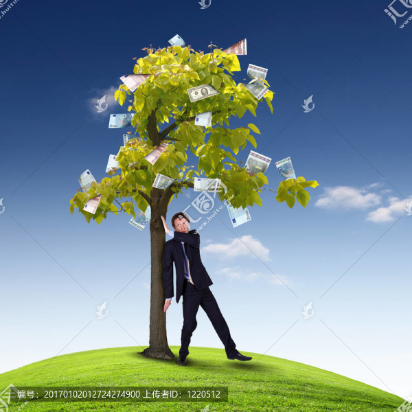 金錢樹與年輕商人