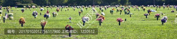 墓地墓地的美國墓地
