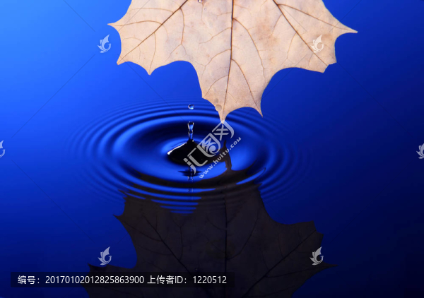 滴水入水