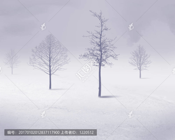 白色的雪樹