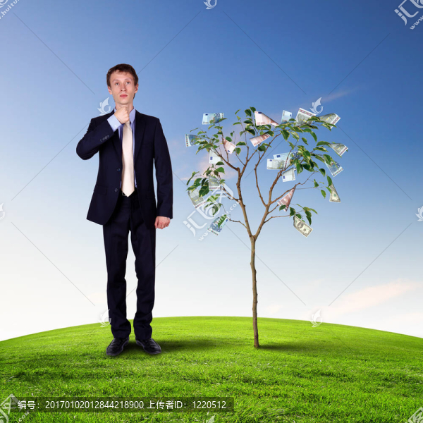 金錢樹與年輕商人
