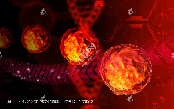 脊髓灰質(zhì)炎病毒