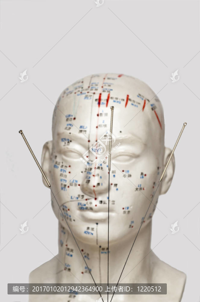 頭部模型針灸針